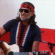 Image for article titled Four Vermont voters wrote in Willie Nelson to be President